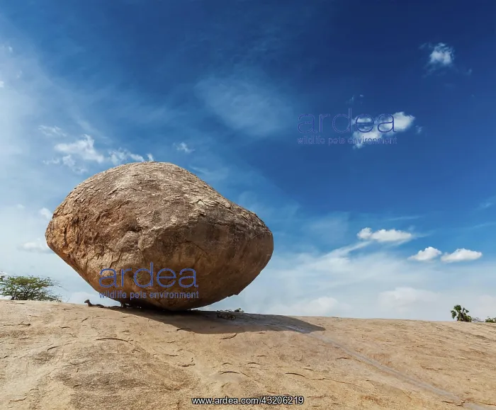 : Krishna's butterball, balancing giant natural ro : Krishna's butterball, balancing giant natural ro