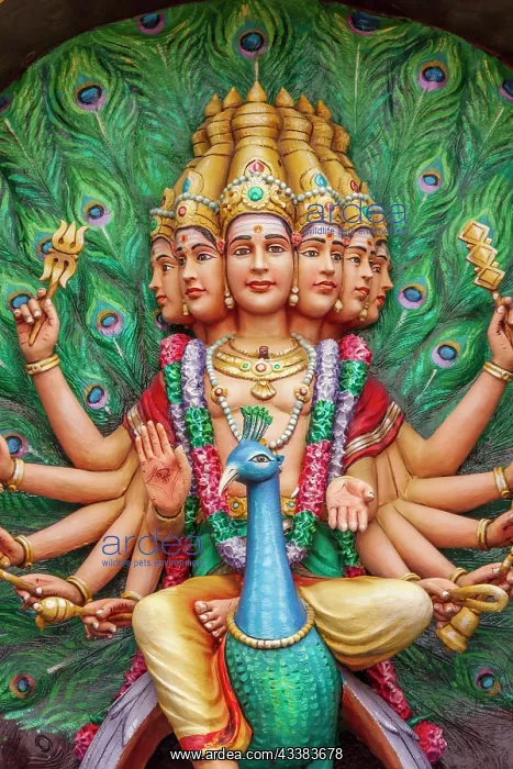 : Kuala Lumpur, West Malaysia. Batu caves. Painted : Kuala Lumpur, West Malaysia. Batu caves. Painted