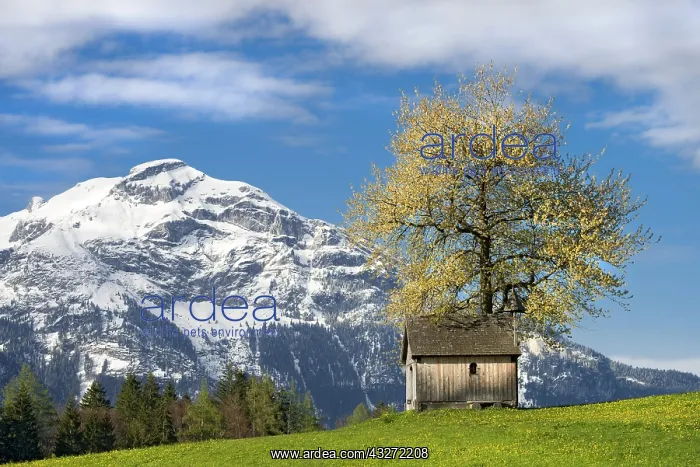 : Kupfererkapelle in spring, Gallzein, Tyrol, Austria : Kupfererkapelle in spring, Gallzein, Tyrol, Austria