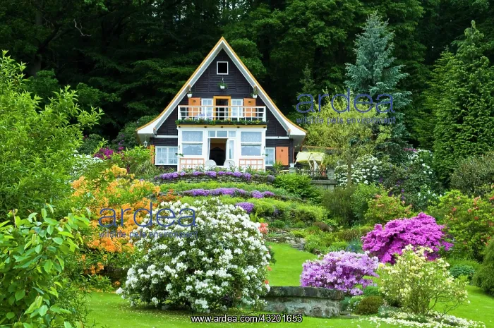 : Kurort Rathen, cottage in rhododendron garden, Oberrathen