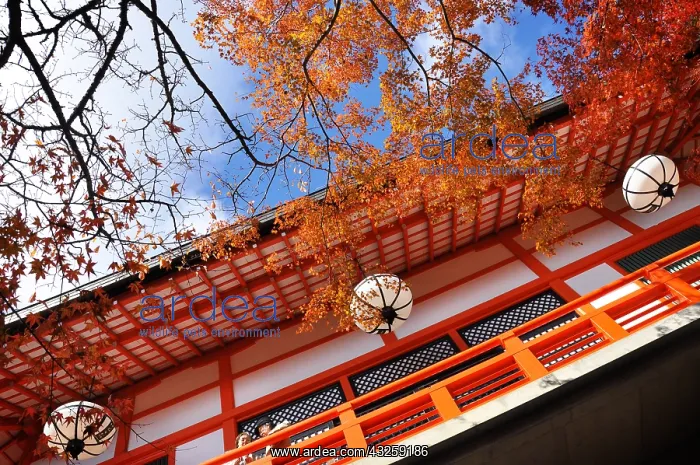 : Kuruma jinja shrine north of Ky&, x134bec; Japan : Kuruma jinja shrine north of Ky&, x134bec; Japan
