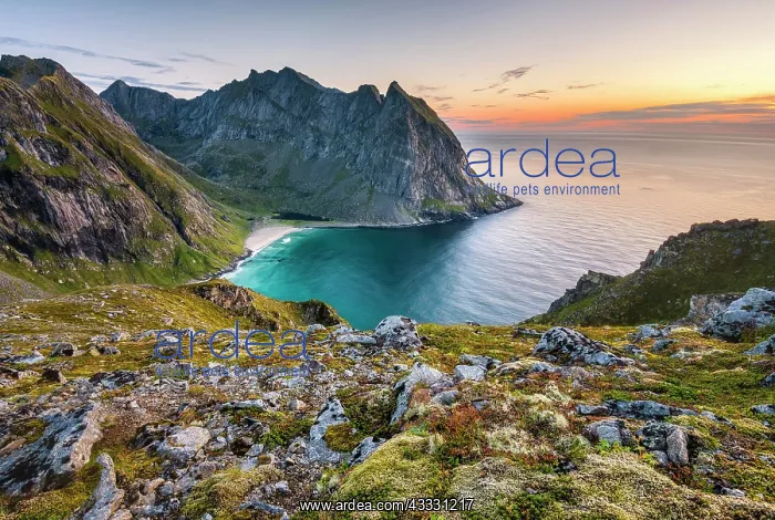  : Kvalvika beach between the Lofoten mountains, back