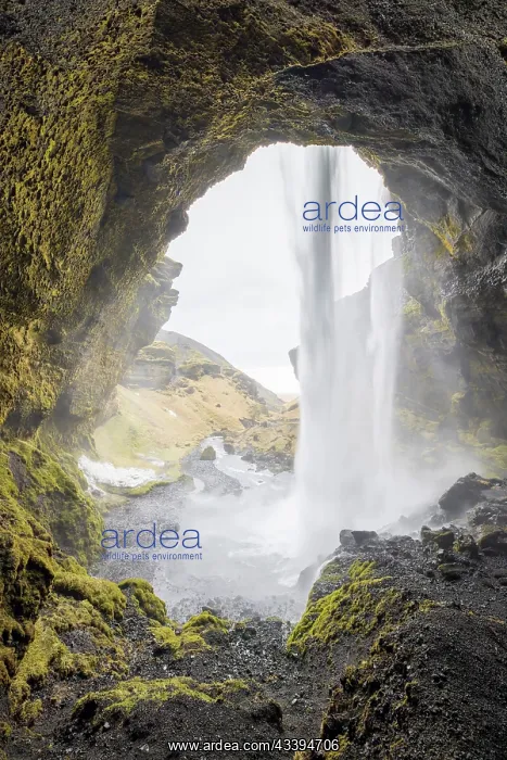 : Kvernufoss : Kvernufoss