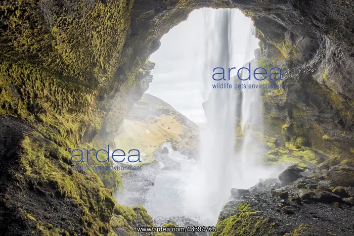 : Kvernufoss : Kvernufoss