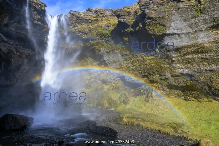 : Kvernufoss, Waterfall with Rainbow, Iceland, Europe : Kvernufoss, Waterfall with Rainbow, Iceland, Europe