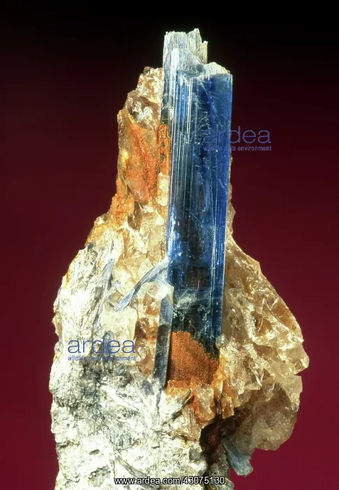 : Kyanite with mica and quartz from Minas Gerais, Brazil. Maximum crystal dimension: 5 cm : Kyanite with mica and quartz from Minas Gerais, Brazil. Maximum crystal dimension: 5 cm