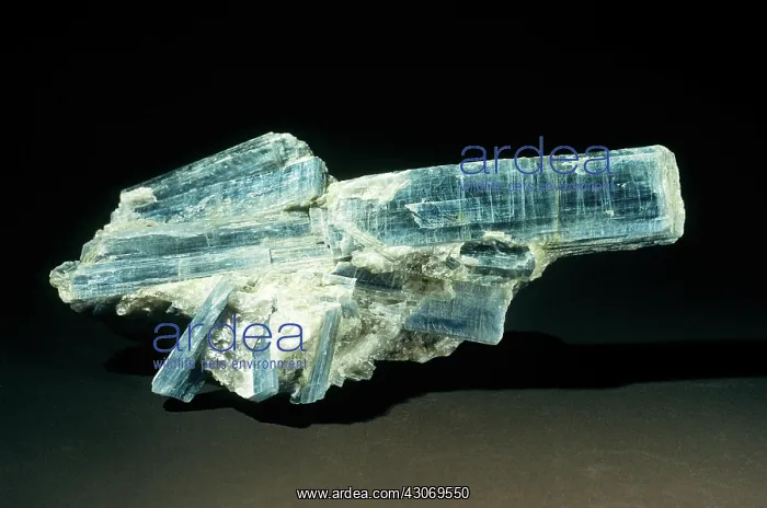 : Kyanite from North Carolina : Kyanite from North Carolina