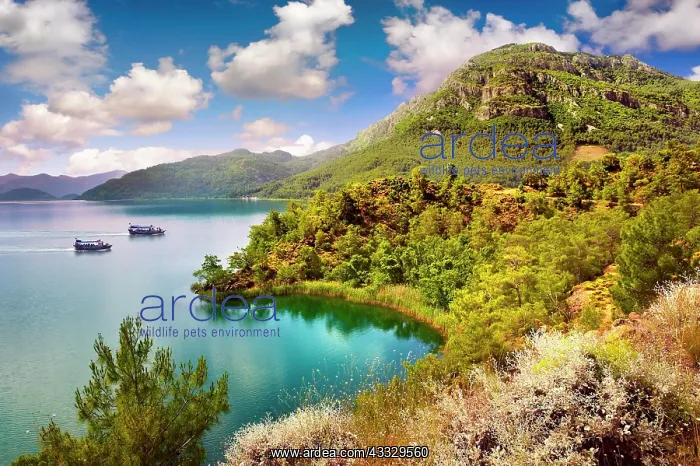 : K?yce iz (Koycegiz) Lake in K?yce iz-Dalyan Spec : K?yce iz (Koycegiz) Lake in K?yce iz-Dalyan Spec