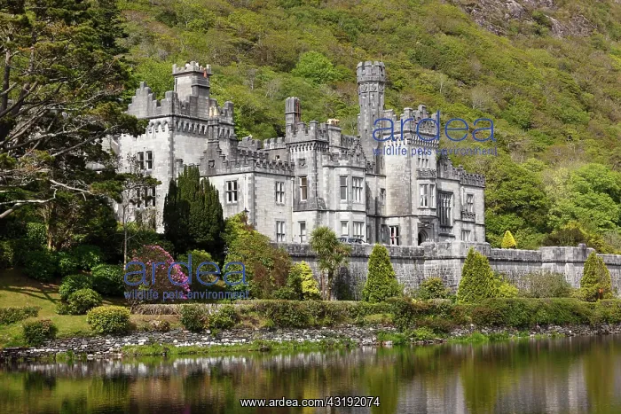 : Kylemore Abbey, Connemara, County Galway, Republic : Kylemore Abbey, Connemara, County Galway, Republic