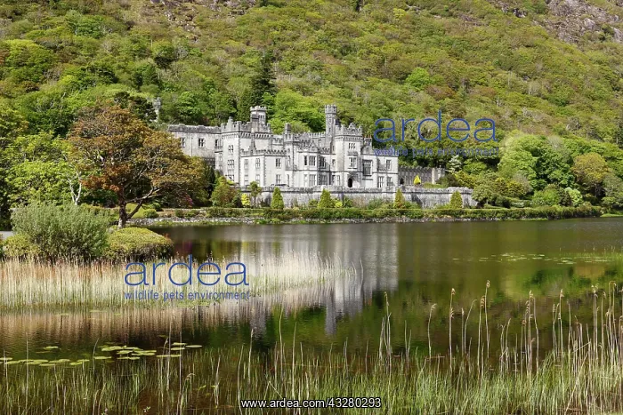 : Kylemore Abbey, Connemara, County Galway, Republic : Kylemore Abbey, Connemara, County Galway, Republic