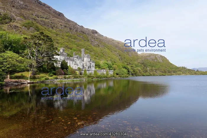 : Kylemore Abbey, Connemara, County Galway, Republic : Kylemore Abbey, Connemara, County Galway, Republic