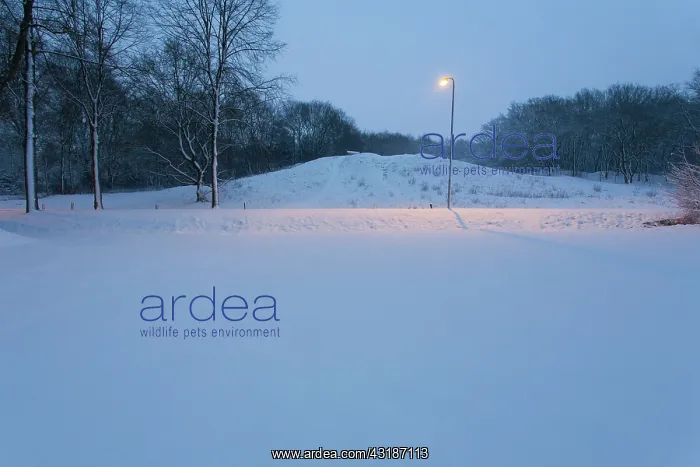 : Kymmelsberg in snow by night lit by street light : Kymmelsberg in snow by night lit by street light