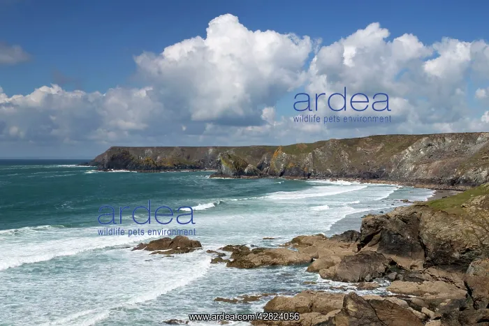  : Kynance Cove