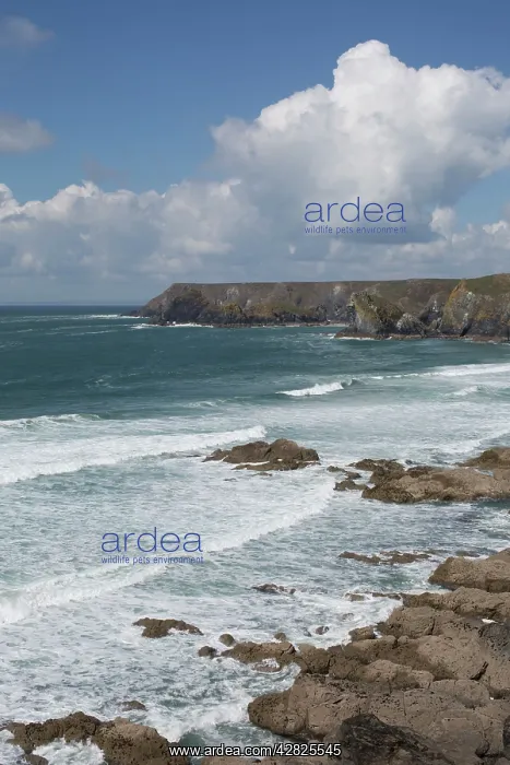  : Kynance Cove
