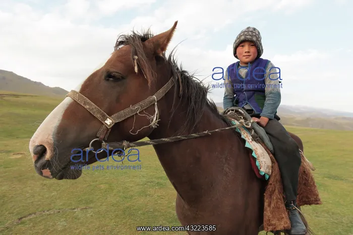 : Kyrgyz boy on his horse - Kyrgyzstan : Kyrgyz boy on his horse - Kyrgyzstan