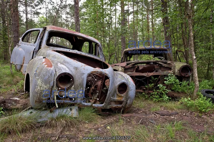 : Kyrk&, xf6; Mosse junkyard, Ryd, Tingsryd, Kronoberg : Kyrk&, xf6; Mosse junkyard, Ryd, Tingsryd, Kronoberg