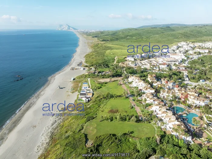 : The La Alcaidesa urbanization at the Mediterranean Sea with the Rock of Gibraltar (British) in the distance : The La Alcaidesa urbanization at the Mediterranean Sea with the Rock of Gibraltar (British) in the distance