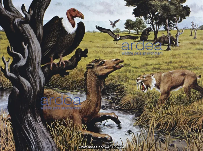 : La Brea Tar Pit Scene : La Brea Tar Pit Scene