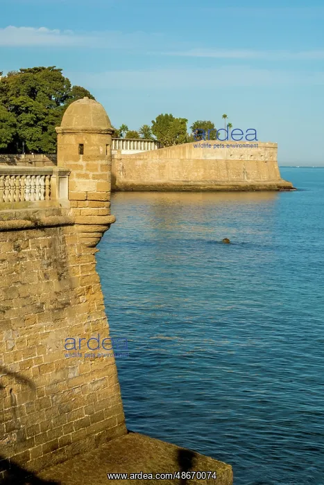 : La Candelaria Bastion and Parque Genoves, Cadiz, Spain : La Candelaria Bastion and Parque Genoves, Cadiz, Spain
