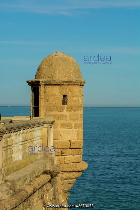 : La Candelaria Bastion and Parque Genoves, Cadiz, Spain : La Candelaria Bastion and Parque Genoves, Cadiz, Spain