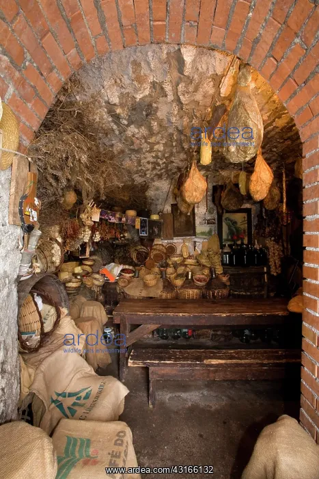 : La Cantina di Gioachino old and characteristic cellar Giglio : La Cantina di Gioachino old and characteristic cellar Giglio