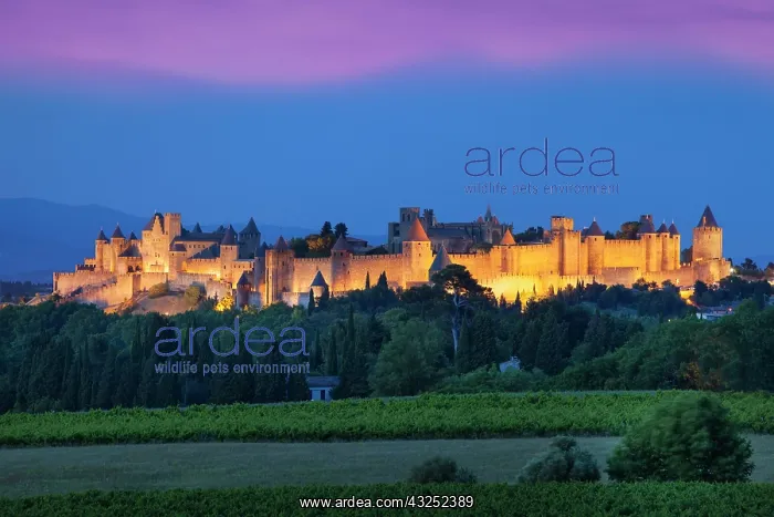 : La Cite Carcassonne, Fortified Medieval : La Cite Carcassonne, Fortified Medieval