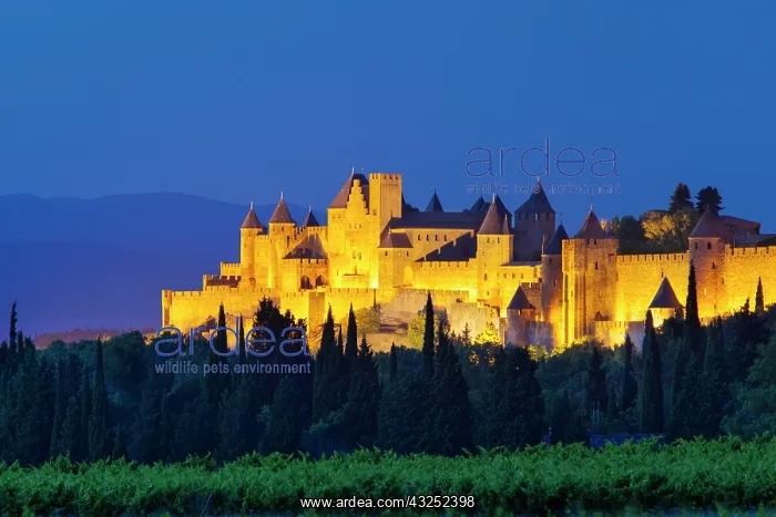 : La Cite Carcassonne, Fortified Medieval : La Cite Carcassonne, Fortified Medieval
