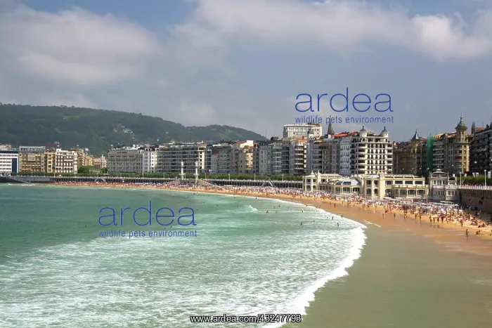 : La Concha Bay in the city of Donostia-San : La Concha Bay in the city of Donostia-San