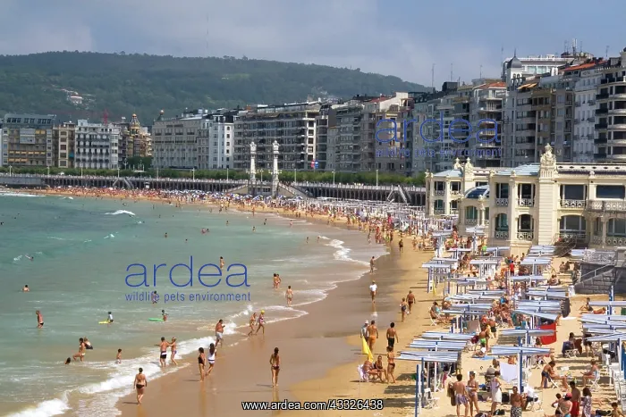 : La Concha Bay in the city of Donostia-San : La Concha Bay in the city of Donostia-San