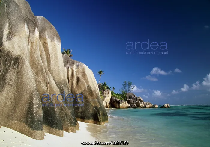  : La Digue Coastline