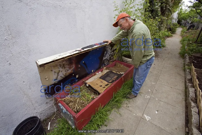 : LA Eco-Village Worm Composter : LA Eco-Village Worm Composter