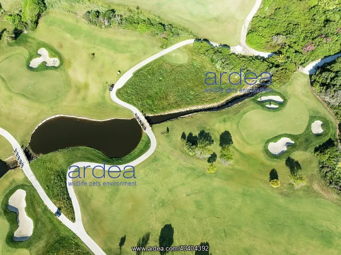 : Detail at the La Hacienda Links Golf Resort. Aerial : Detail at the La Hacienda Links Golf Resort. Aerial