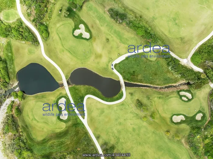 : Detail at the La Hacienda Links Golf Resort. Aerial : Detail at the La Hacienda Links Golf Resort. Aerial