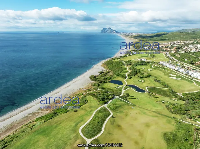 : The La Hacienda Links Golf Resort at the Mediterranean : The La Hacienda Links Golf Resort at the Mediterranean