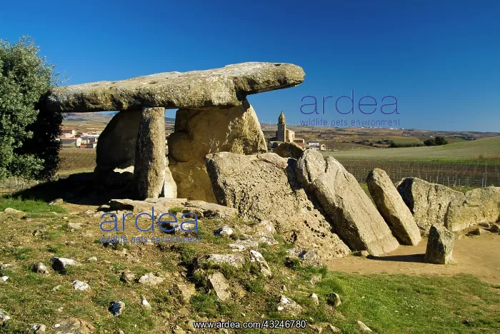  : La Hechicera Dolmen. Elvillar. Alava. Pais