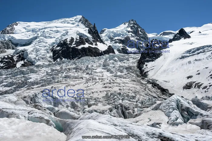 : La Jonction, glacier tongue, Glacier des Bossons : La Jonction, glacier tongue, Glacier des Bossons