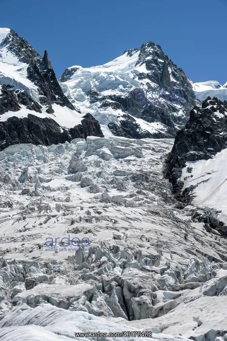 : La Jonction, glacier tongue, Glacier des Bossons : La Jonction, glacier tongue, Glacier des Bossons