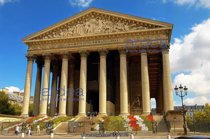: La Madeleine church, Paris, France, Europe Paris : La Madeleine church, Paris, France, Europe Paris