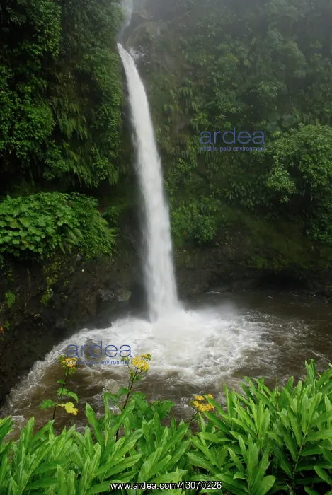 : La Paz Waterfall, Costa Rica : La Paz Waterfall, Costa Rica