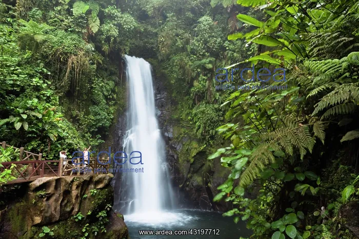 : La Paz waterfalls, rainforest, Costa Rica, Central : La Paz waterfalls, rainforest, Costa Rica, Central