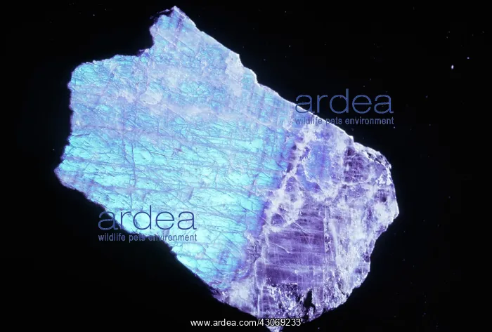 : Labradorite : Labradorite