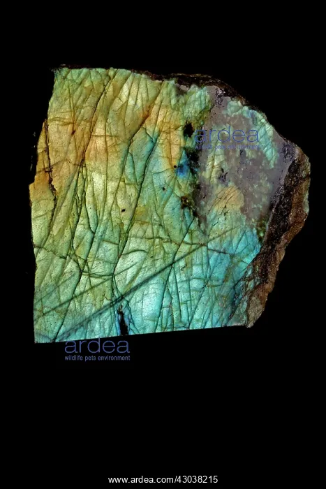: Labradorite a feldspar material, polished : Labradorite a feldspar material, polished