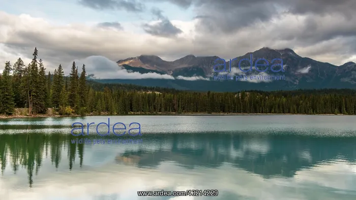  : Lac Beauvert, Lac Beaufort, Beauvert Lake, Jasper