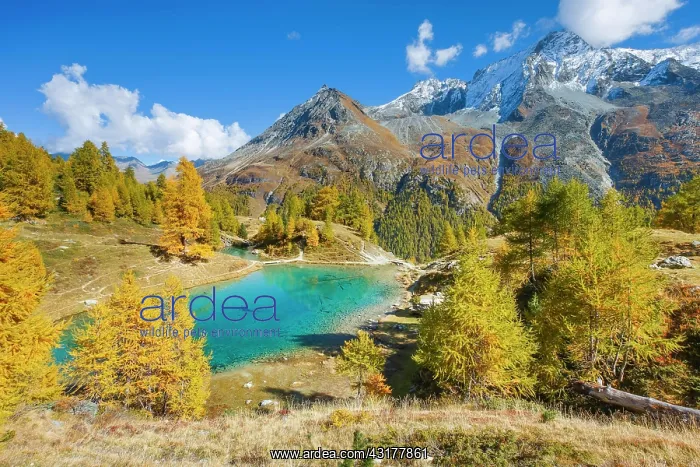 : Lac Bleu, Grande Dent de Veisivi, Dent de Perroc : Lac Bleu, Grande Dent de Veisivi, Dent de Perroc
