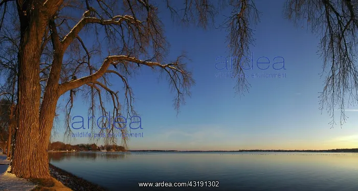 : Lac La Belle in the evening light, Wisconsin, USA : Lac La Belle in the evening light, Wisconsin, USA