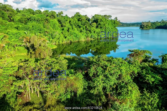 : Lac Ravelobe surrounded by dense rainforest, Ankarafantsika : Lac Ravelobe surrounded by dense rainforest, Ankarafantsika