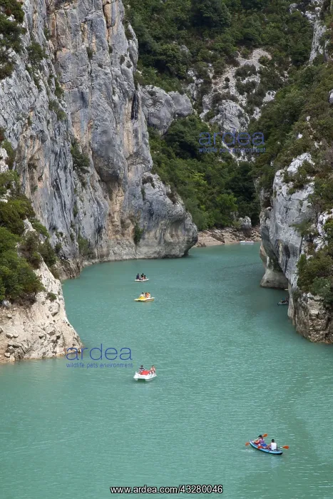 : Lac de Sainte-Croix, Gorges du Verdon, Verdon gorge : Lac de Sainte-Croix, Gorges du Verdon, Verdon gorge