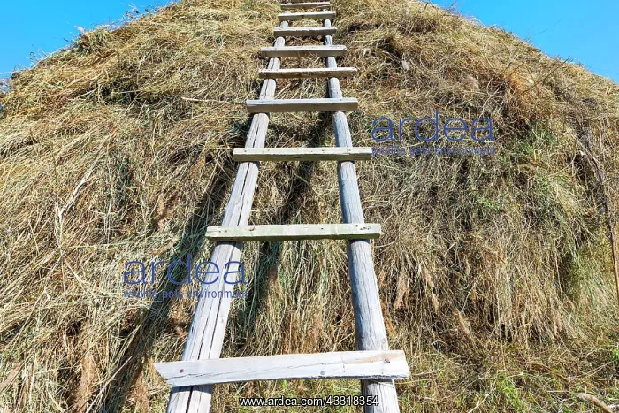 : Ladder on a Haystack, Sati village, Tien Shan Mountains : Ladder on a Haystack, Sati village, Tien Shan Mountains