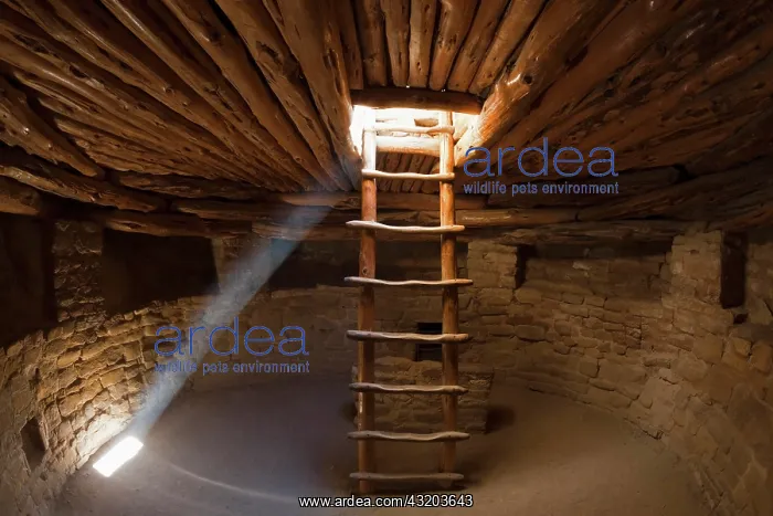 : Ladder in a Kiva room for religious ceremonies : Ladder in a Kiva room for religious ceremonies