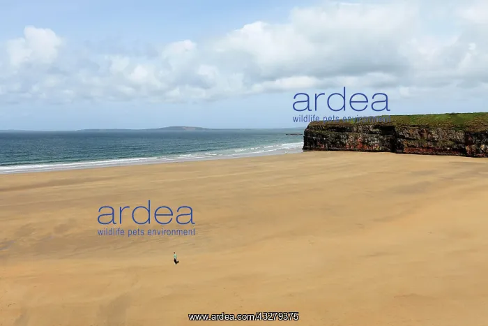 : Ladies Beach, Ballybunion, County Kerry, Ireland : Ladies Beach, Ballybunion, County Kerry, Ireland